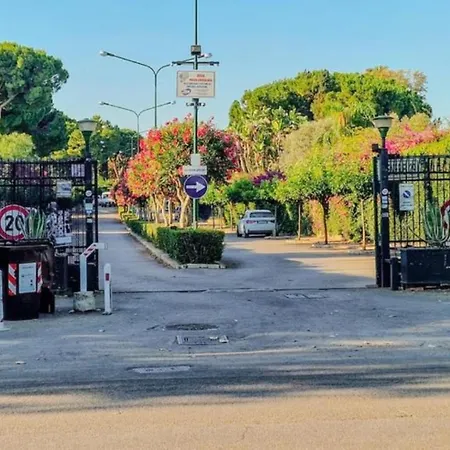 Domus Dea * 蒙德罗